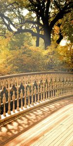 Landscape,Bridges,Trees