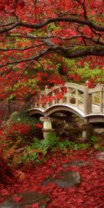 Landscape,Bridges,Trees,Autumn