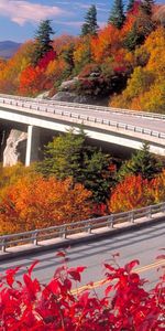 Landscape,Bridges,Trees,Roads,Autumn