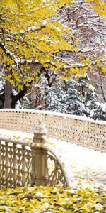 Arbres,Bridges,Paysage,Streets