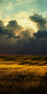 Landscape,Clouds,Fields