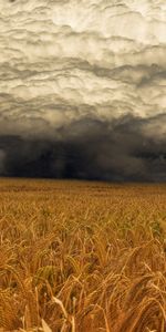 Landscape,Clouds,Fields