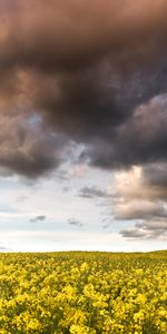 Landscape,Clouds,Fields