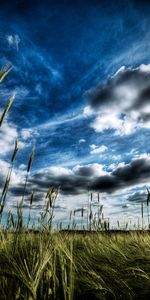 Landscape,Clouds,Fields