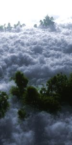 Nuages,Arbres,Paysage