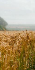 Los Campos,Paisaje