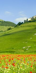 Landscape,Fields