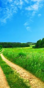 Les Champs,Paysage