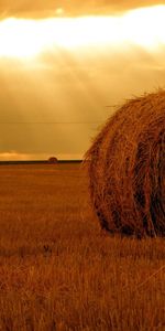 Landscape,Fields