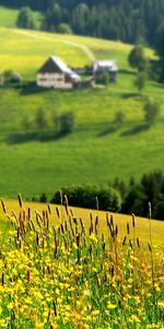 Landscape,Fields