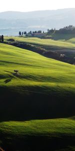 Landscape,Fields