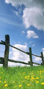 Landscape,Fields