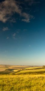 Landscape,Fields