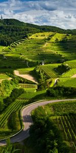 Landscape,Fields