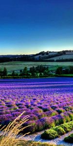 Les Champs,Paysage