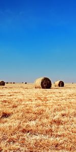 Paisaje,Los Campos