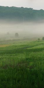 Landscape,Fields