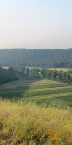 Landscape,Fields