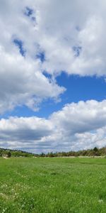 Paisaje,Los Campos