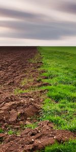 Landscape,Fields