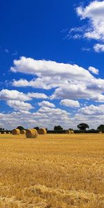 Landscape,Fields