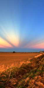 Los Campos,Paisaje