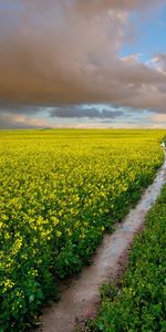 Los Campos,Paisaje