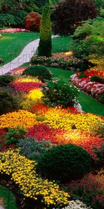 Paysage,Fleurs