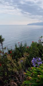 Nuages,Fleurs,Paysage,Mer