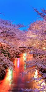 Landscape,Flowers,Rivers,Trees