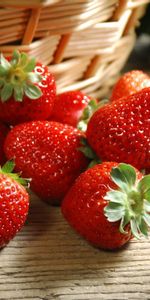 Landscape,Food,Strawberry