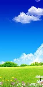 Landscape,Grass,Clouds,Background,Sky