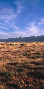 Paisaje,Hierba,Los Campos