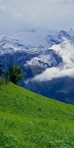 Herbe,Montagnes,Paysage