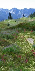 Montagnes,Herbe,Paysage