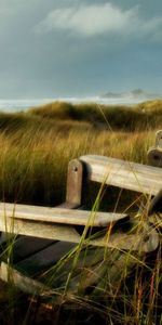 Landscape,Grass,Sea