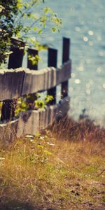 Landscape,Grass,Sea