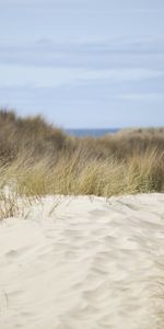 Herbe,Sable,Mer,Paysage