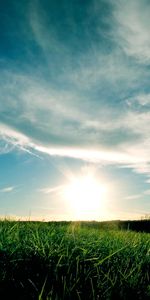 Herbe,Paysage,Sky