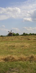 Herbe,Sky,Paysage