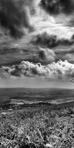 Cielo,Hierba,Paisaje