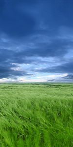 Landscape,Grass,Sky,Art