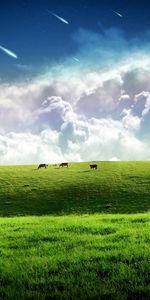 Landscape,Grass,Sky,Art