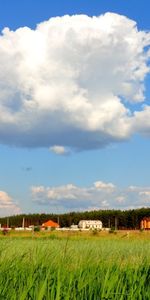 Herbe,Nuages,Sky,Paysage,Maisons