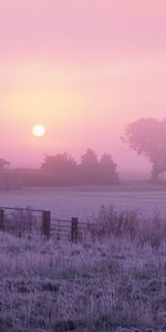 Landscape,Grass,Sky,Dawn