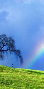 Landscape,Grass,Sky,Rainbow,Trees