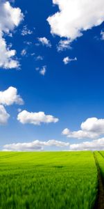 Landscape,Grass,Sky,Roads