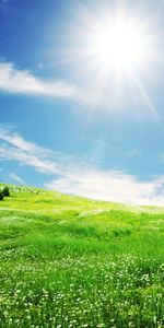 Landscape,Grass,Sky,Sun