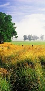 Landscape,Grass,Sky,Trees