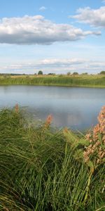 Herbe,Eau,Sky,Paysage